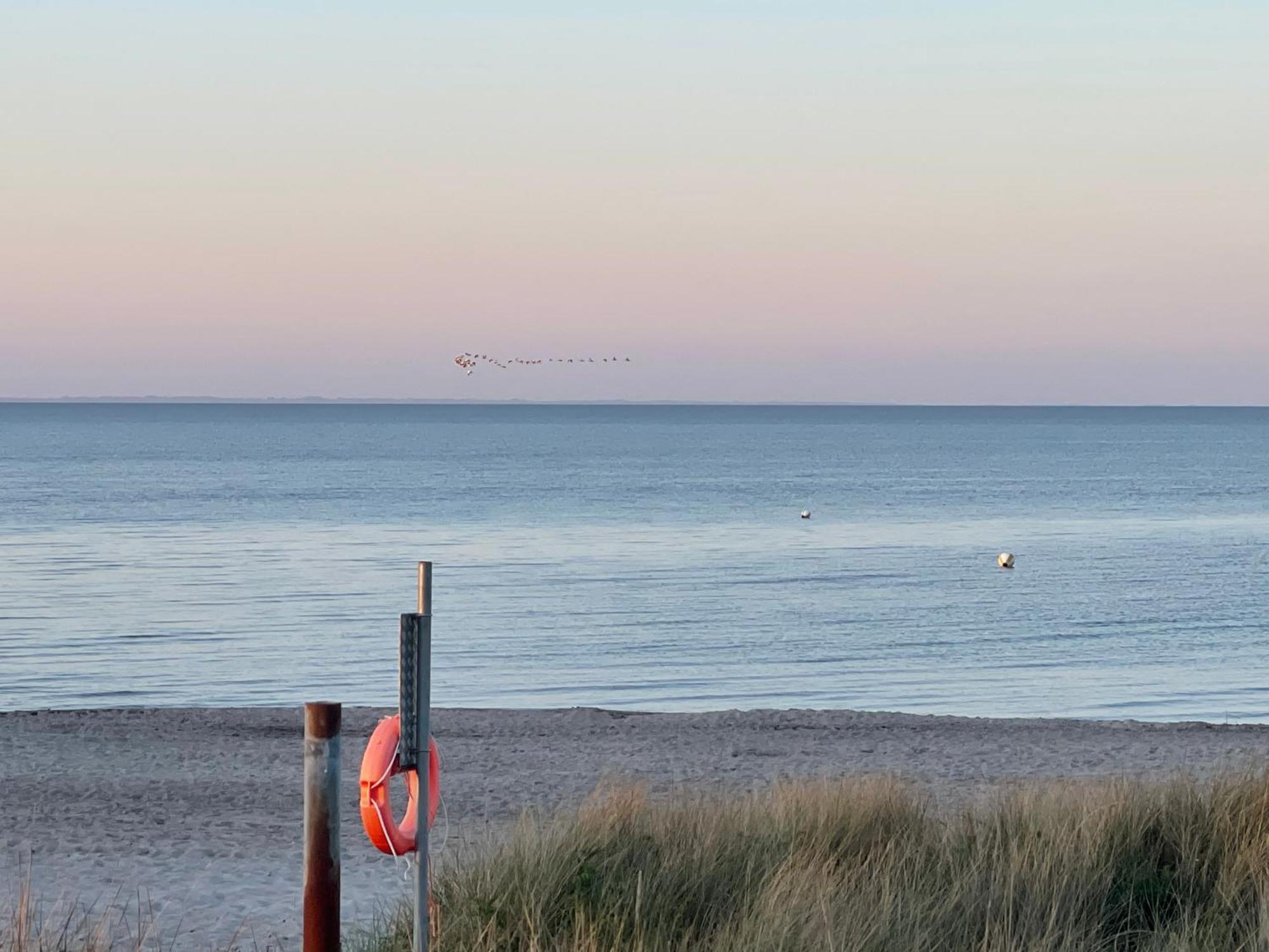 Strandzone 29 Kronsgaard Экстерьер фото